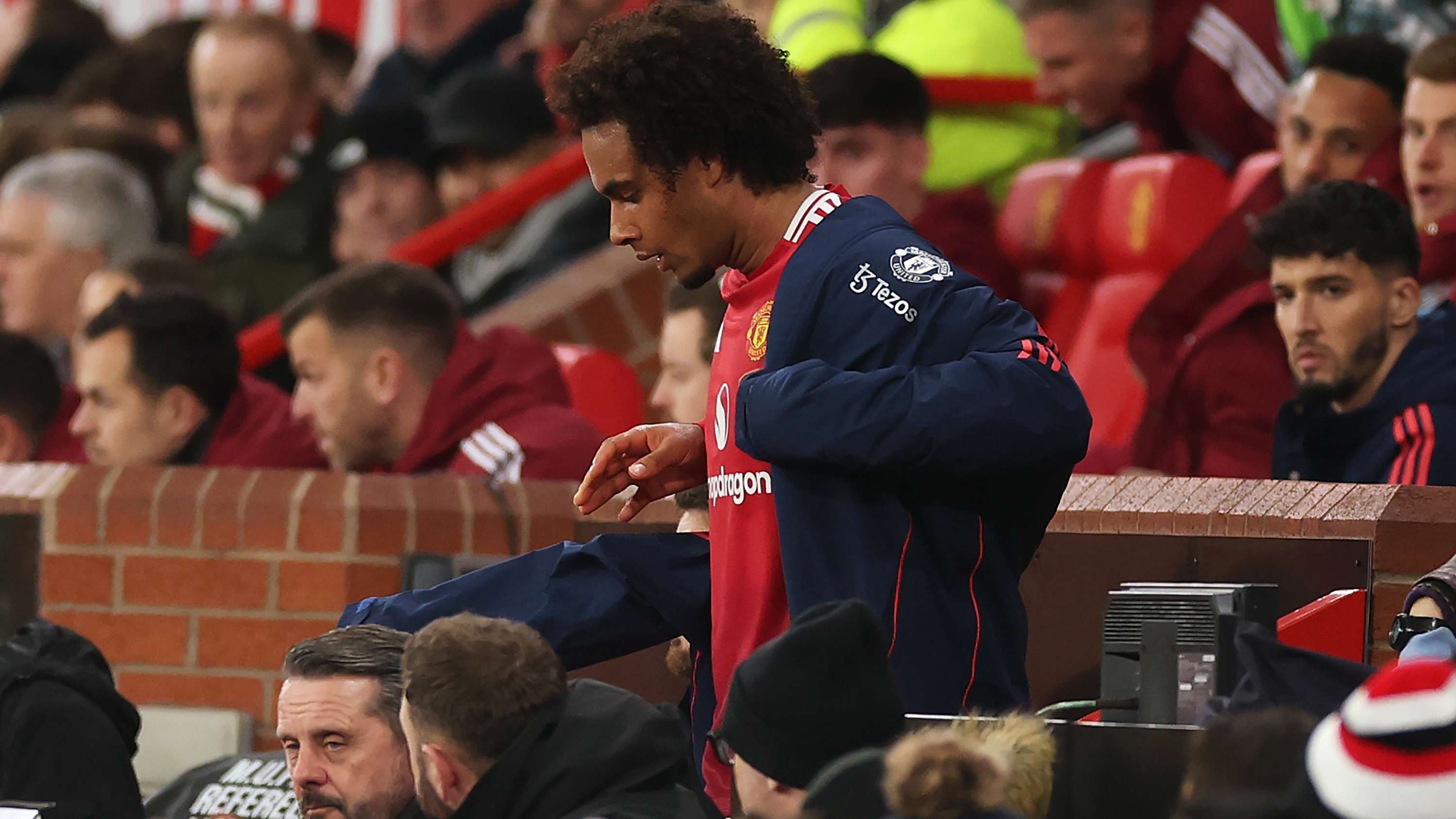 森林预测分 森林预测分