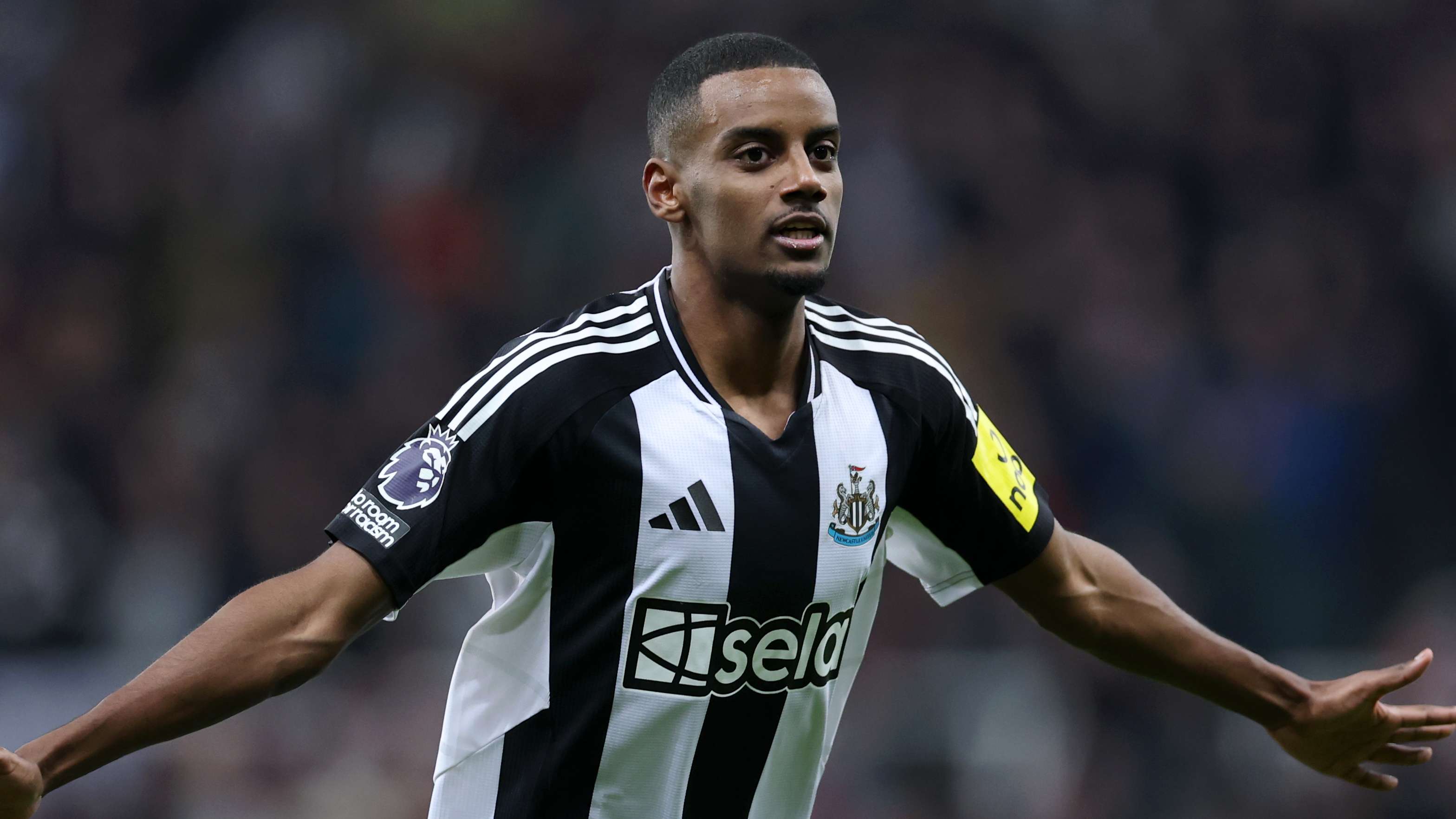 形式和内容 形式和内容